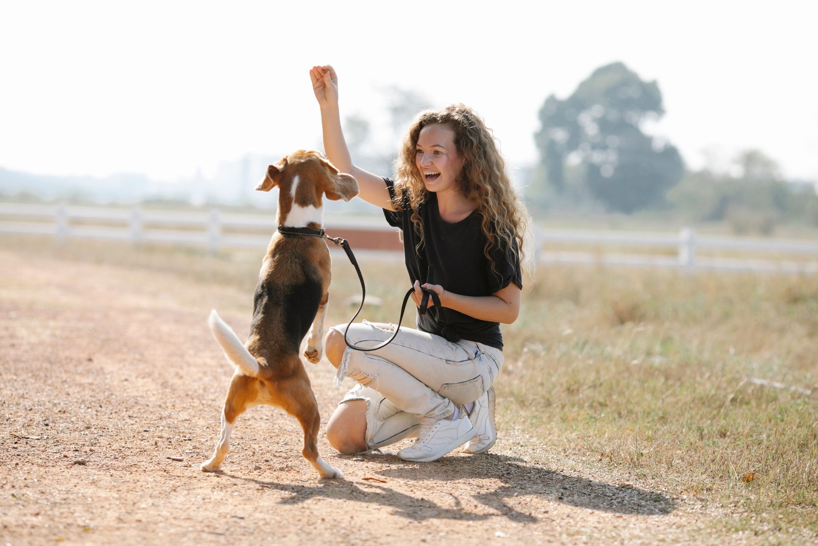 Perro feliz entrenando